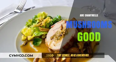 Exploring the Culinary Delight of Chanterelle Mushrooms: Are They Worth the Hype?