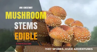 Exploring Edibility: Can You Eat Chestnut Mushroom Stems?