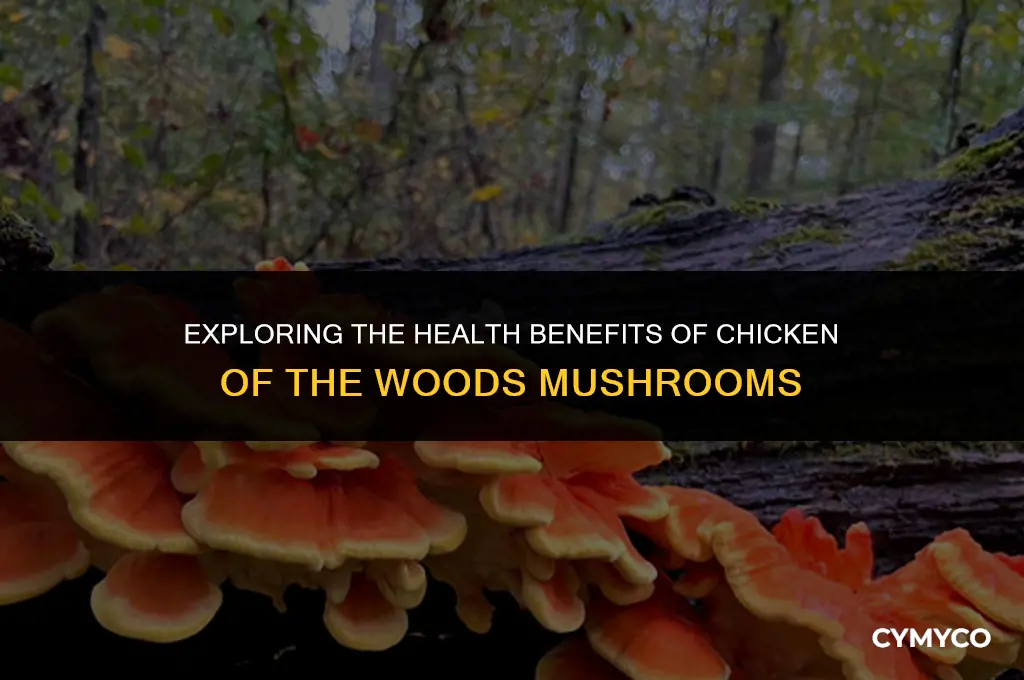 are chicken of the woods mushrooms good for you