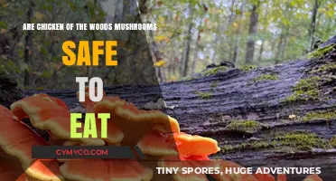Exploring Edibility: Are Chicken of the Woods Mushrooms Safe?