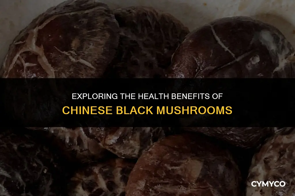 are chinese black mushrooms good for you