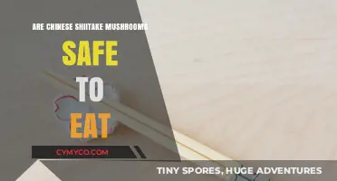 Exploring the Safety and Benefits of Chinese Shiitake Mushrooms