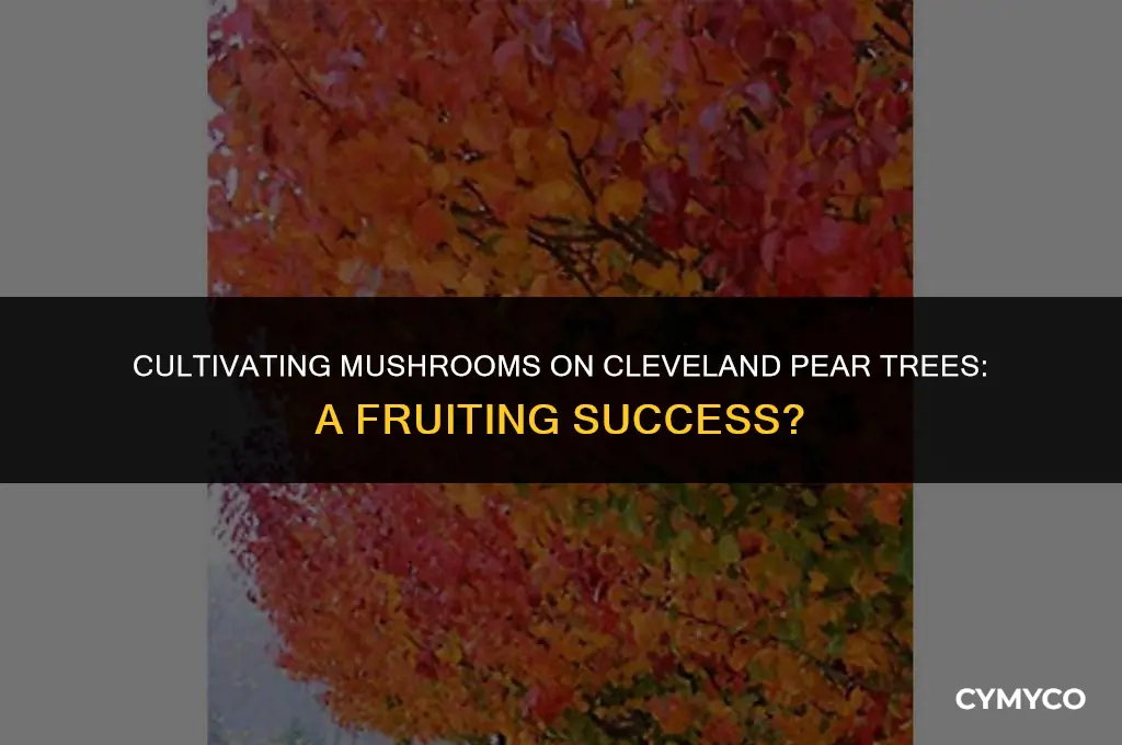 are cleveland pear trees good for growing mushrooms