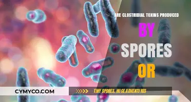 Unveiling the Mystery: Clostridial Toxins and Their Spore Origins