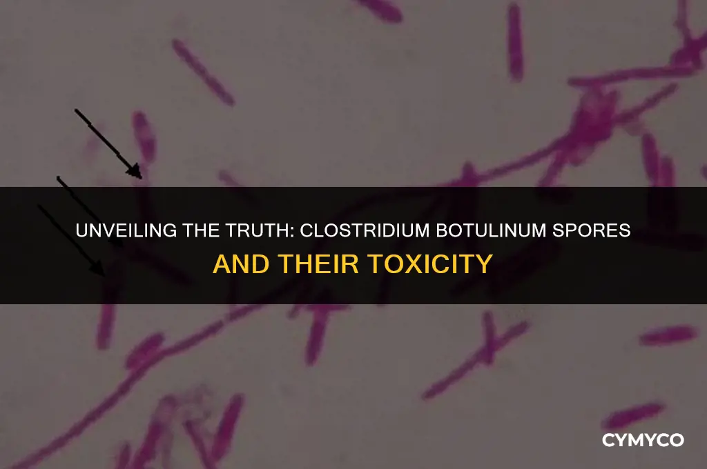 are clostridium botulinum spores toxic