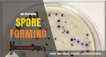 Unveiling the Truth: Coliforms and Their Spore-Forming Abilities