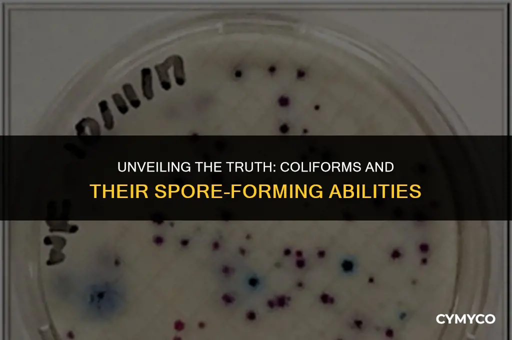 are coliforms spore forming