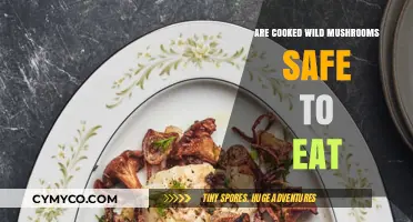 Exploring the Safety of Consuming Cooked Wild Mushrooms