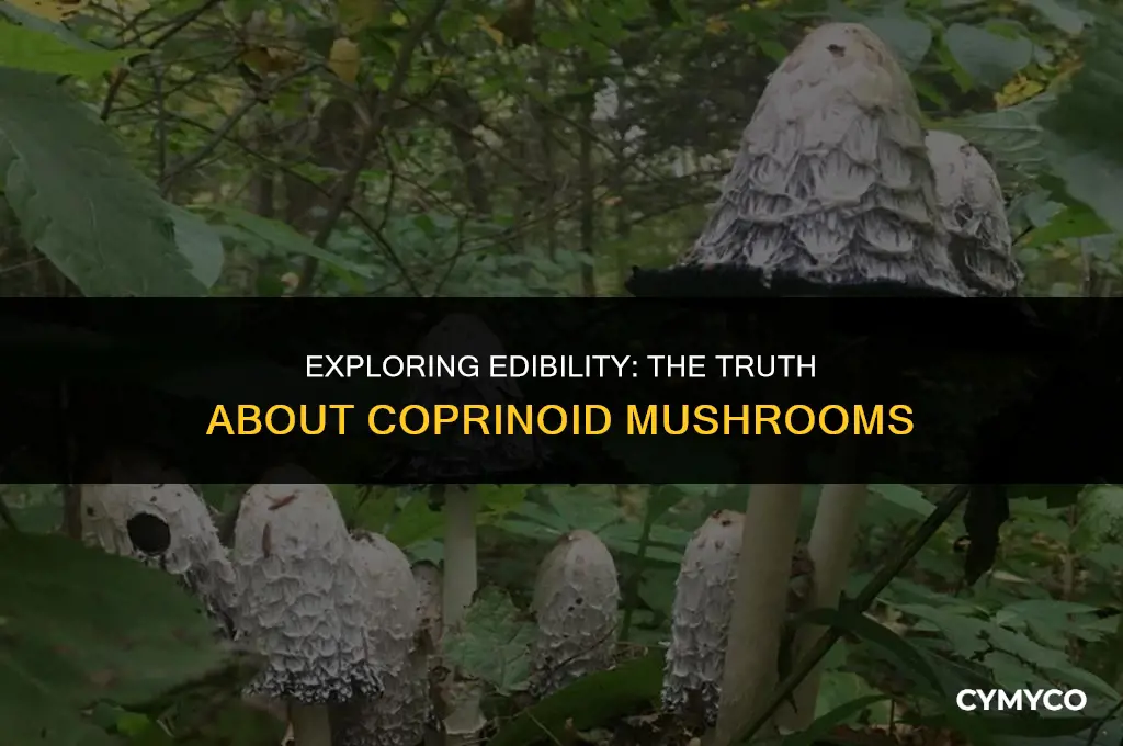 are coprinoid mushrooms safe to eat