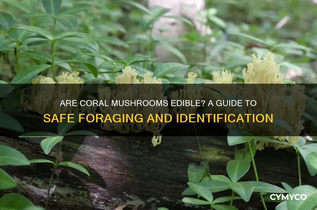 are coral mushrooms edible