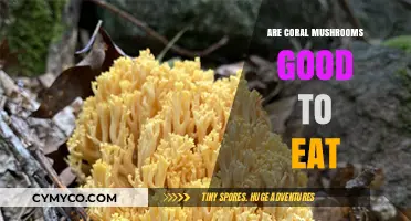 Exploring Edibility: Are Coral Mushrooms a Tasty and Safe Choice?