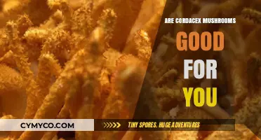Exploring the Health Benefits of Cordyceps Mushrooms: A Comprehensive Guide