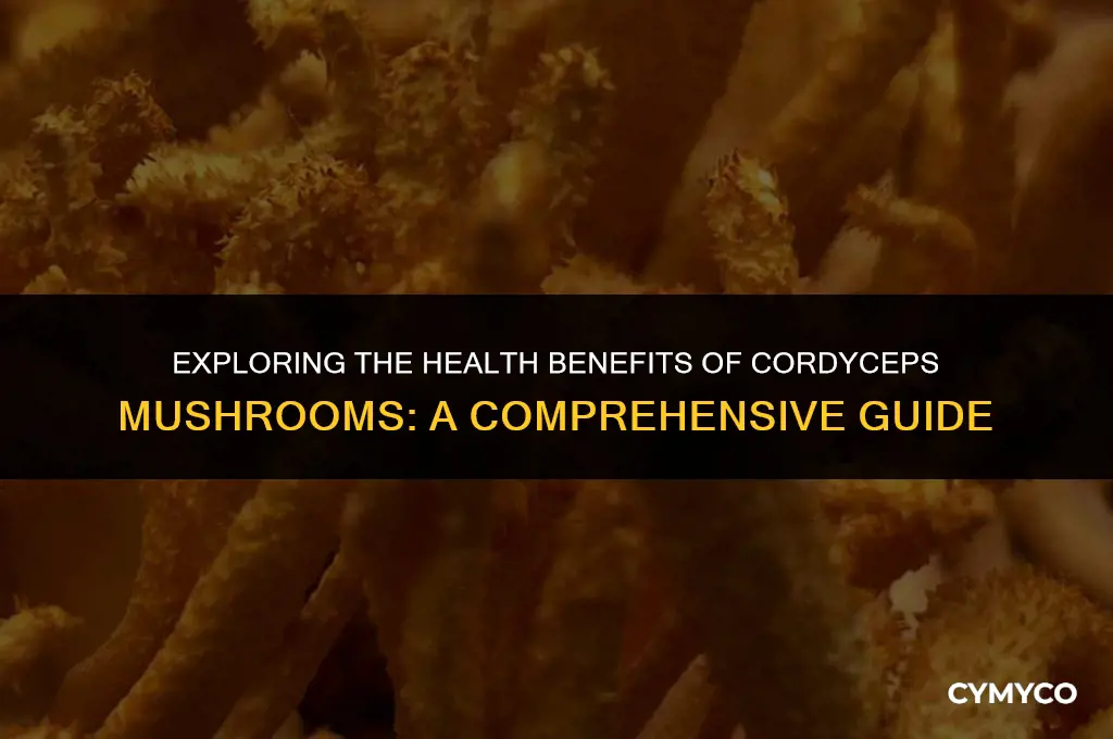are cordacex mushrooms good for you