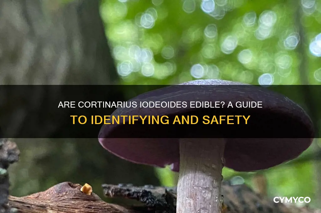 are cortinarius iodeoides edible