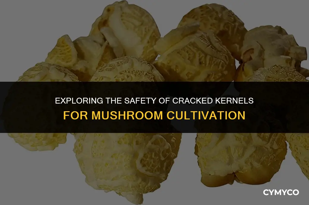 are cracked kernels ok to grow mushrooms