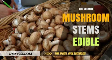 Exploring Edibility: The Truth About Cremini Mushroom Stems