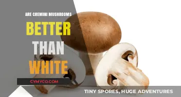 Cremini vs. White Mushrooms: Which One Tops Your Culinary Choice?