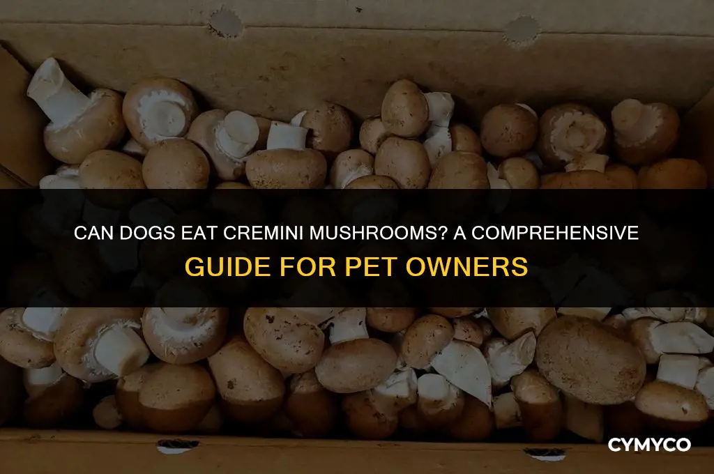 are cremini mushrooms good for dogs