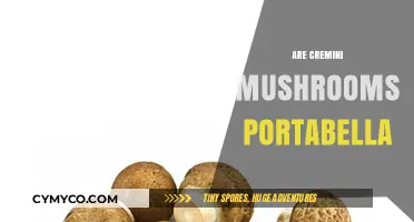 Cremini vs. Portabella: Unraveling the Mushroom Mystery