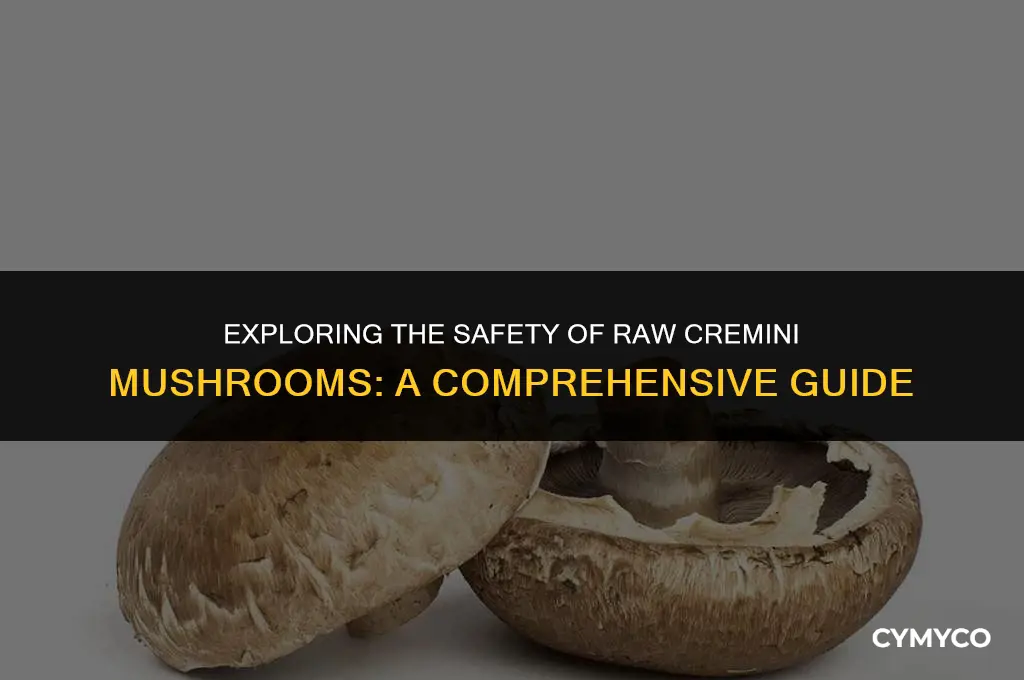 are cremini mushrooms safe to eat raw