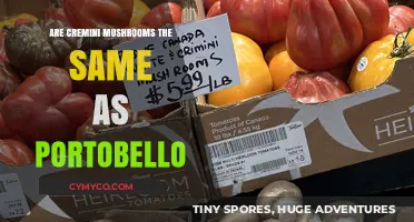 Exploring the Differences: Cremini vs. Portobello Mushrooms
