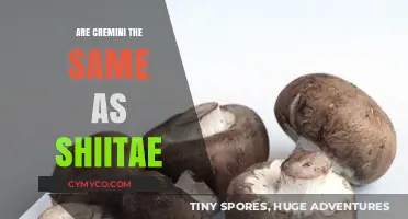 Cremini vs. Shiitake: Unraveling the Differences in These Popular Mushrooms