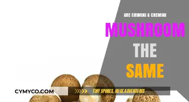 Crimini vs. Cremini: Unraveling the Mystery of These Mushrooms