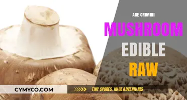 Exploring the Edibility of Crimini Mushrooms in Their Raw Form