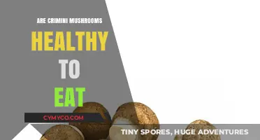 Exploring the Health Benefits of Crimini Mushrooms: A Nutritional Guide