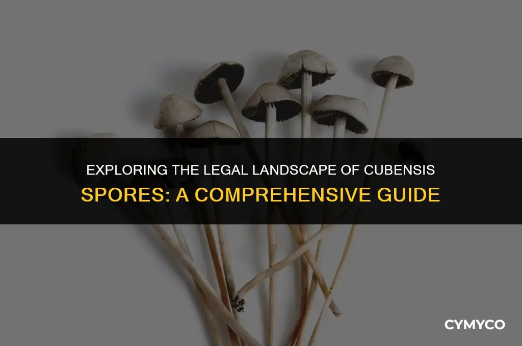 are cubensis spores legal