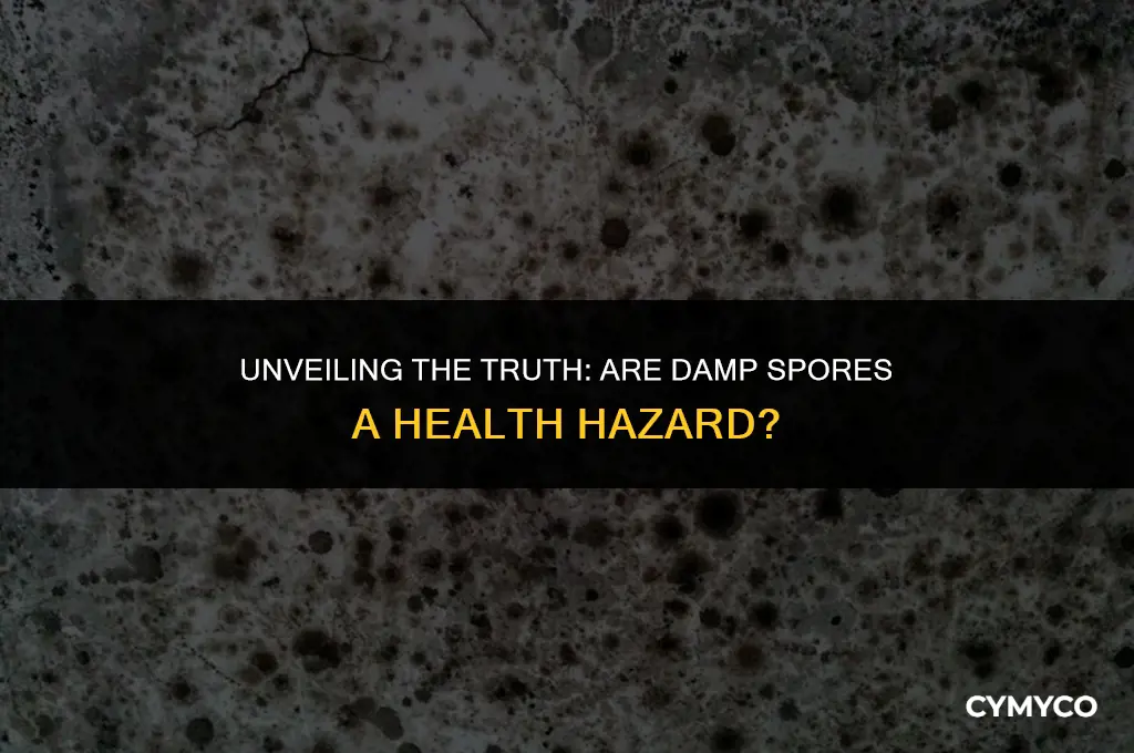 are damp spores dangerous