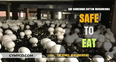 Exploring Edibility: The Truth About Darkening Button Mushrooms