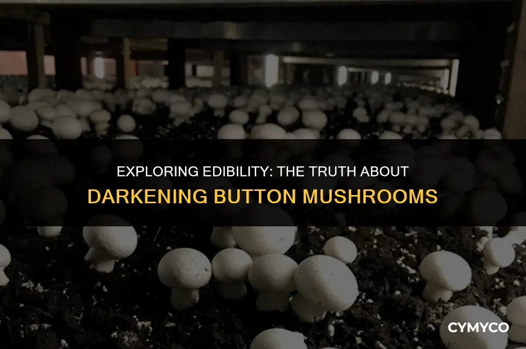 are darkening button mushrooms safe to eat