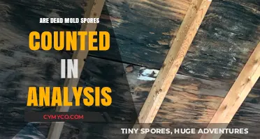 Unveiling the Truth: Do Dead Mold Spores Impact Analysis Results?