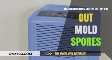 Unveiling the Truth: Dehumidifiers and Mold Spores Safety