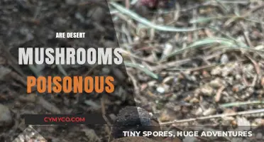 Exploring the Edibility of Desert Mushrooms: A Comprehensive Guide