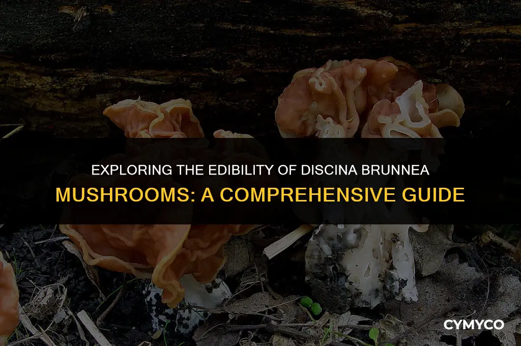 are discina brunnea mushrooms edible