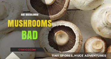 The Truth About Discolored Mushrooms: Are They Safe to Eat?