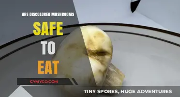 Nature's Palette: Understanding the Safety of Discolored Mushrooms