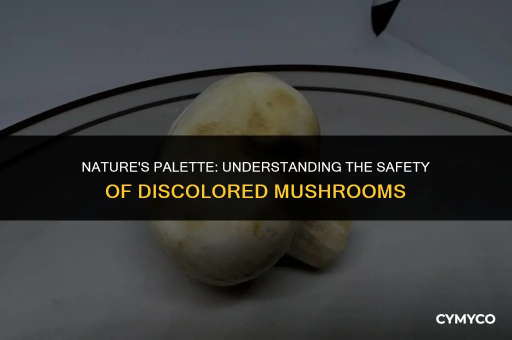 are discolored mushrooms safe to eat