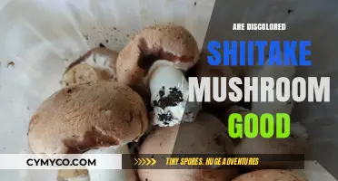Are Discolored Shiitake Mushrooms Safe to Eat?