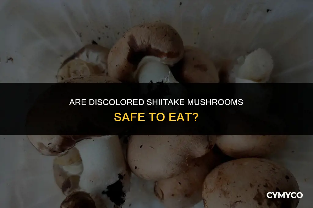 are discolored shiitake mushroom good
