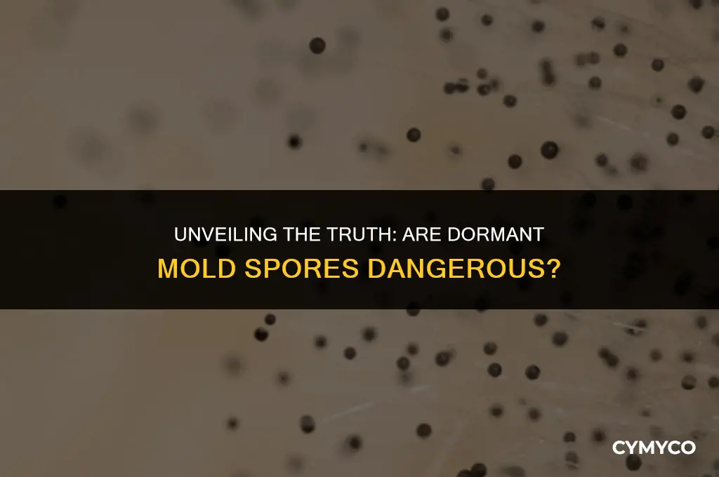 are dormant mold spores dangerous