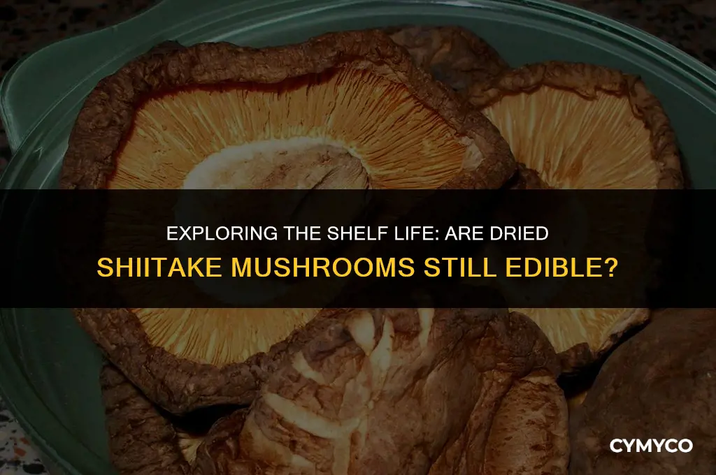 are dred shiitake mushrooms still good