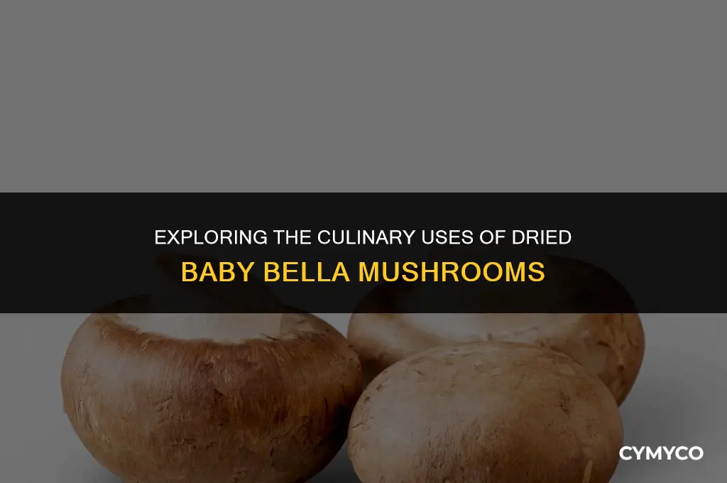 are dried baby bella mushrooms good to eat