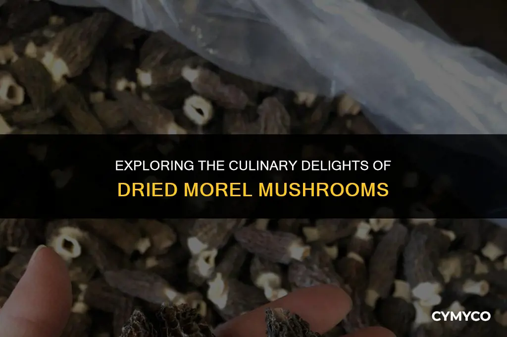 are dried morel mushrooms good