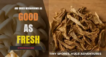 Dried vs. Fresh Mushrooms: Which Offers Better Nutrition and Flavor?