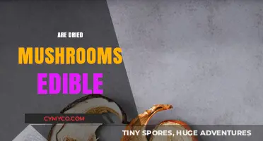 Exploring the Edibility of Dried Mushrooms: A Comprehensive Guide