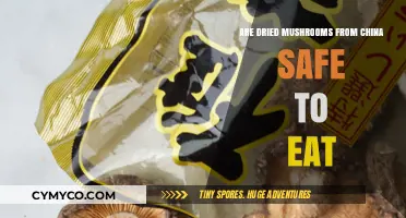 Exploring the Safety of Dried Mushrooms Imported from China