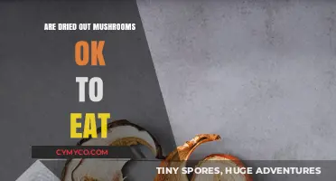 Reviving Flavor: The Truth About Eating Dried-Out Mushrooms